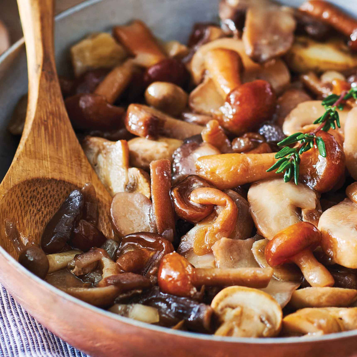 Mushroom Medley