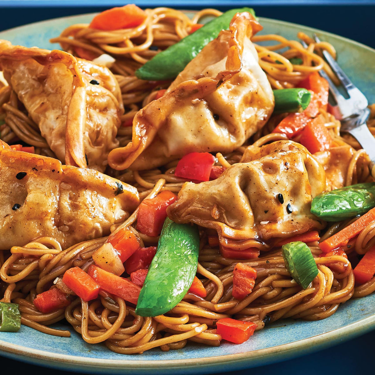 Chicken Dumplings and Noodles